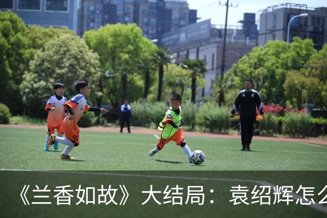 《兰香如故》大结局：袁绍辉怎么也没想到，全剧想要为他报仇的竟是两个林家人