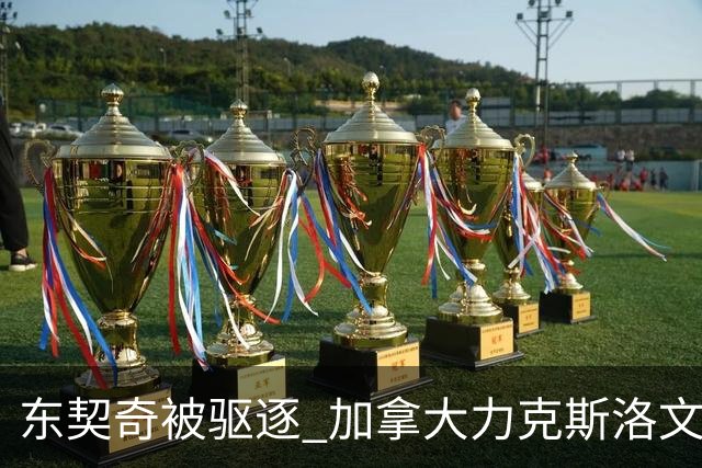 东契奇被驱逐 加拿大力克斯洛文尼亚晋级四强