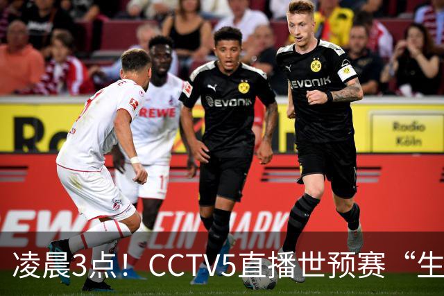 凌晨3点！CCTV5直播世预赛“生死战”，郭士强继续带队，杨瀚森王俊杰缺阵