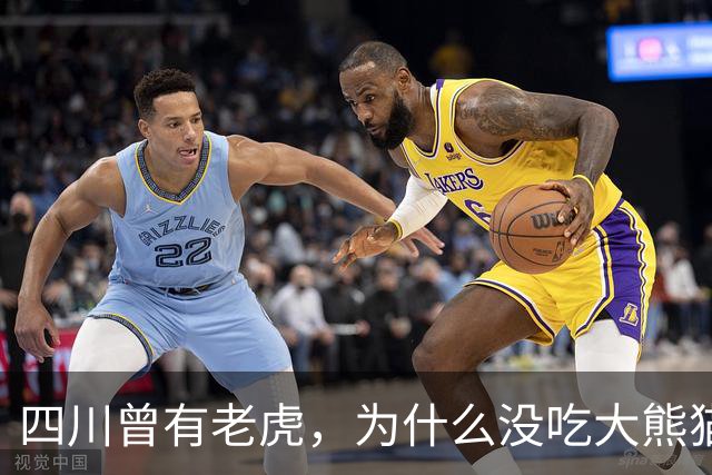 四川曾有老虎，为什么没吃大熊猫？护林员说：80%的人不知道，老虎就算“饿疯了”，也不会将大熊猫当作美餐