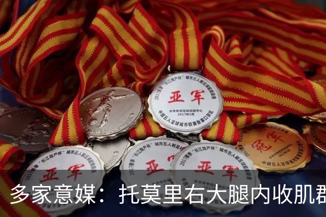多家意媒：托莫里右大腿内收肌群损伤，两周后重新评估