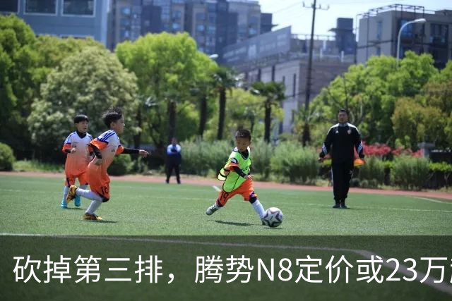 砍掉第三排，腾势N8定价或23万起，是惊喜还是妥协？