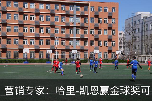 营销专家：哈里-凯恩赢金球奖可以挽救英国足球的声誉