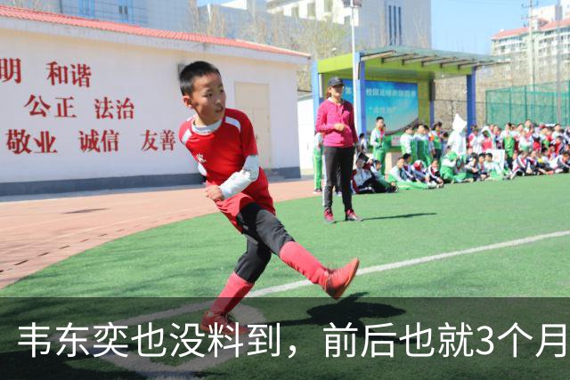 韦东奕也没料到，前后也就3个月，王虹竟再向学术界亮出“王牌”