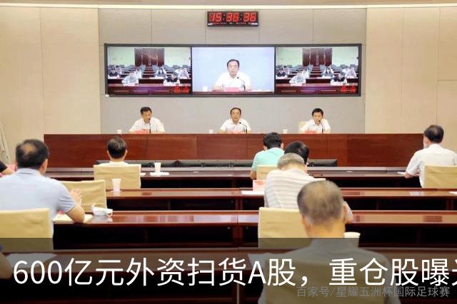 600亿元外资扫货A股，重仓股曝光