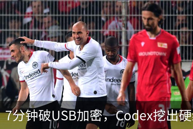 7分钟破USB加密，Codex挖出硬编码密钥